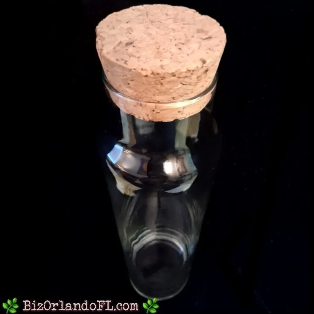 VINTAGE: Clear Tall Glass Cylinder Bottle Terrarium With Cork Stopper